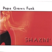 Papa Grows Funk - Rat a Tang Tang