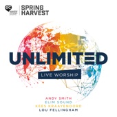 Unlimited: Live Worship From Spring Harvest artwork