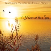 1 Hour at the Spa - Spa Relaxing Music for Spa Break in Nature artwork