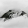 P.O.M. - Single (feat. Libby Barnes) - Single