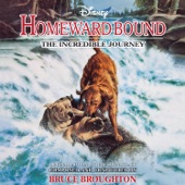 Homeward Bound: The Incredible Journey (Original Motion Picture Soundtrack) artwork