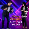 Edwin Zeballos - Si Tu Vas, Yo Voy