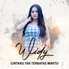 Cintaku Tak Terbatas Waktu - Single