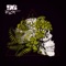 Pica das Galaxia Feat Randy Savage - 96RUST lyrics