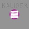 Kaliber 10b1 - Kaliber lyrics