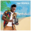Trip Tropikal - EP