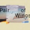 Pair of Wings (Knotez, O'sound) - Single