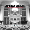 Opera Arias - Rory Marsden, Alexander Wilson & Alex Tschallener