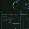 Fields and Strings album lyrics, reviews, download