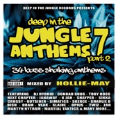 Deep in the Jungle Anthems 7 - Part 2 (Mixed by Hollie - May) artwork