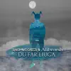 DU FÅR LJUGA - Single album lyrics, reviews, download