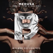 Medusa artwork