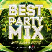 BEST PARTY MIX -VIP CLUB HIT'S- mixed by DJ KASUMI (DJ MIX) artwork
