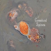 Crooked Spires - Speck of Dust