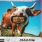 Cash Cow - Streytup lyrics