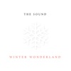 Winter Wonderland - Single