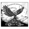 Les Chants de Nihil - Le dard d'une sale guêpe dans mon œil