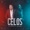 Joe Veras ft Peter Sway feat. Peter Sway - Celos - DJ Yulios - Bachata - Guitar Intro & Outro - 130BPM - Joe Veras
