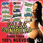 Salsa Sonidera (Puros Temas Nuevos) artwork