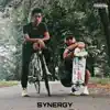 Synergy album lyrics, reviews, download