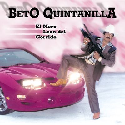 El Gallo de Mil Palenques - Beto Quintanilla | Shazam