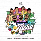Aloha (feat. Darell, Mambo Kingz & DJ Luian) artwork
