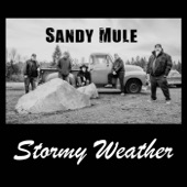 Stormy Weather (feat. Todd Hoffman & Aarun Carter) artwork