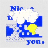 Nice To Meet You. artwork