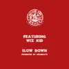 Slow Down (feat. Wiz Kid) - Single album lyrics, reviews, download