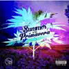Summer In the Primavera album lyrics, reviews, download