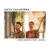 Gata Callejera (feat. Rasel) - Single, 2019