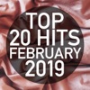 Top 20 Hits February 2019 (Instrumental), 2019