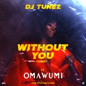 Without You (Remix) [feat. Omawumi] artwork