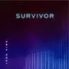 Survivor (I Can Keep Going) [feat. Ron King] - Single album lyrics, reviews, download