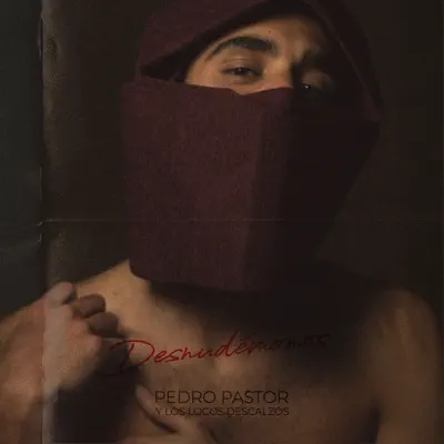 Desnudémonos (feat. Los Locos Descalzos) - Single - Pedro Pastor