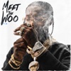 Meet the Woo, Vol. 2 artwork