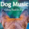 Dog Music - Calming Sounds for Dogs: Relaxation and Sleeping Music for Pets album lyrics, reviews, download