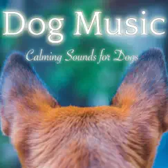 Dog Music - Calming Sounds for Dogs: Relaxation and Sleeping Music for Pets by Dog Music Dreams, Relaxmydog & Relax My Puppy album reviews, ratings, credits