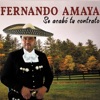 Fernando Amaya - Un puño de tierra