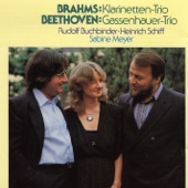 Brahms & Beethoven: Clarinet Trios artwork