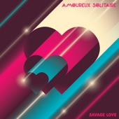 Amoureux Solitaire (Extended Dance Mashup) artwork