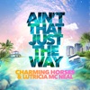 Ain't That Just the Way - Single
