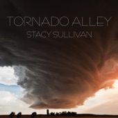 Stacy Sullivan - How Little We Know