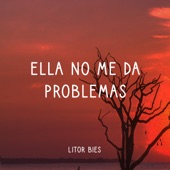 Ella No Me Da Problemas artwork