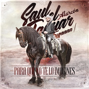 Saul 