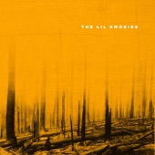 The Lil Smokies - Holding the Ladder