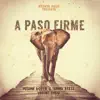 Stream & download A Paso Firme - Single