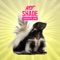 Supaflow - Hot Shade lyrics