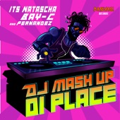 DJ Mash up Di Place artwork