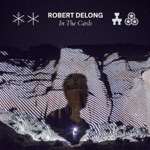 Robert DeLong - Pass Out